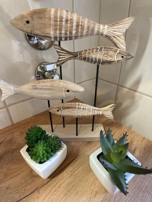 Apartament Piccolo Nido Rovinj Zewnętrze zdjęcie