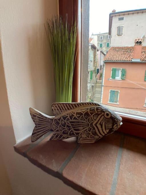 Apartament Piccolo Nido Rovinj Zewnętrze zdjęcie